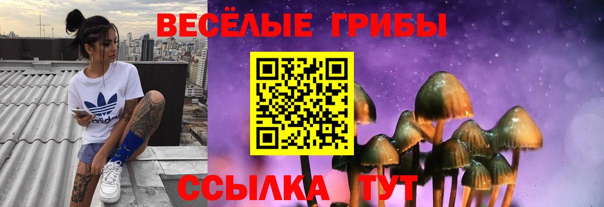 Псилоцибиновые грибы мухоморы Братск