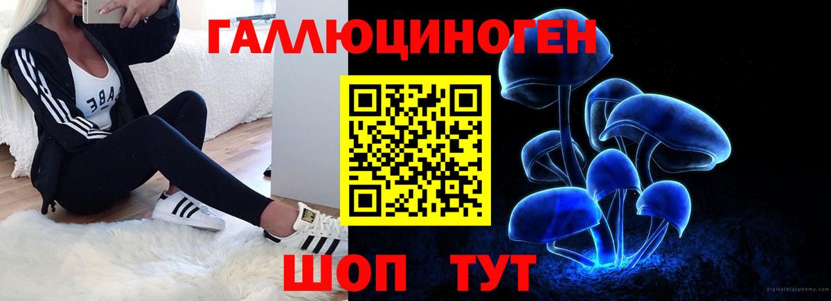 Братск  где найти   Псилоцибиновые грибы Psilocybe  Вход с VPN  Псилоцибиновые грибы Cubensis 